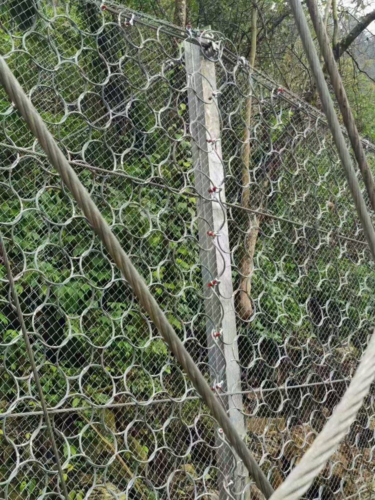 环形被动防护网