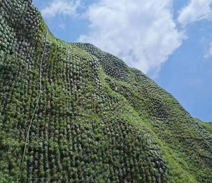 安装被动防护网常用的方法